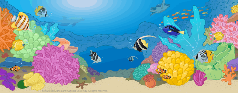 CORAL banner